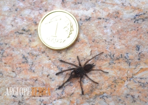 9e826352c23b1282ee0199d40e25d56a