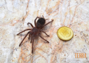 d1ff81970f48671c6d1c6a51de1bc753