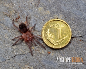 f0a721841d2696b77c653a6b9522d6f8