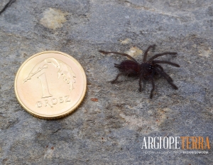 7a4394f5340d0a6c7431344af14aa270