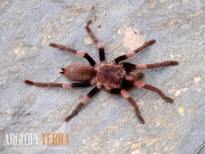 d3d81417014d265d2729d77bf9865277