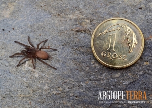 c4314a67d6b76eafd9a45db975abafba