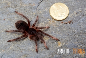 14476abe58f14f657fecc62887ebb3f9