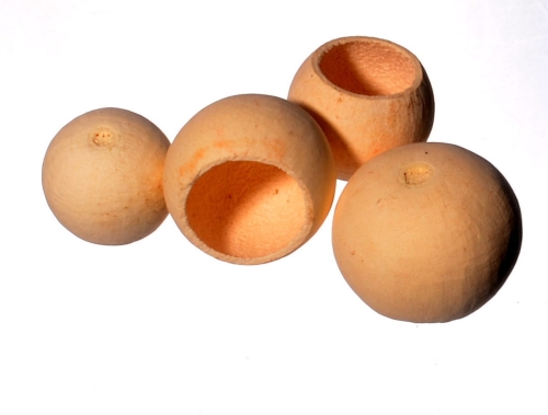 Suszona makówka bielona