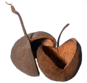 780