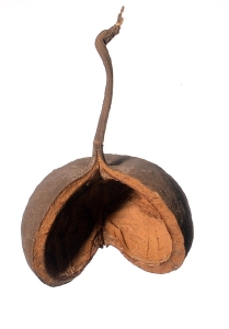 781