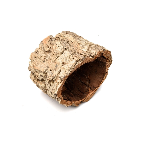CASCA-OCA---9cm-x-10cm (1).jpg