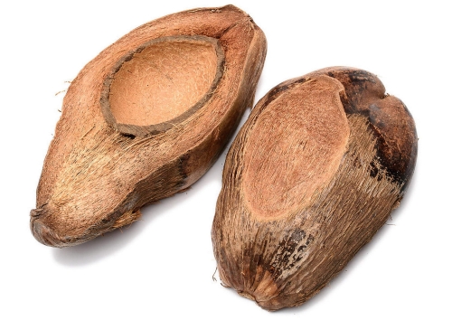 Połówka kokosa - podłużna