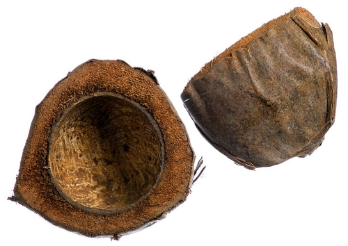 Połówka kokosa okrągła