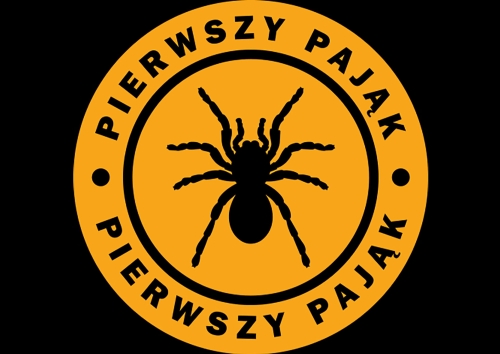 Pierwszy pająk HQ.jpg