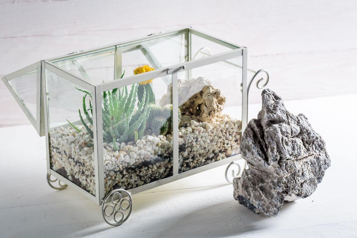 Widok terrarium dla skorpiona z kryjówką i podłożem dostosowanym do jego potrzeb.